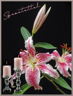 Liliomok