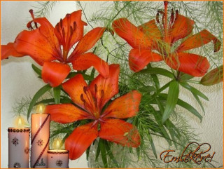 Liliomok