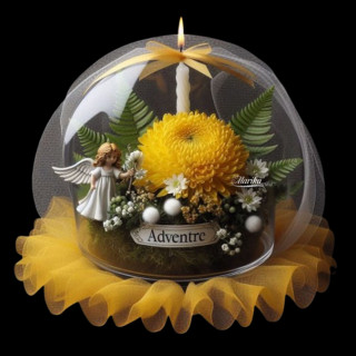 Adventre